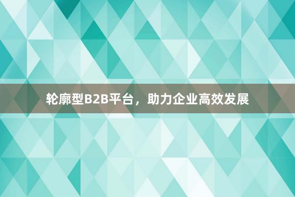 轮廓型B2B平台，助力企业高效发展