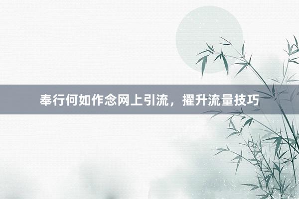 奉行何如作念网上引流，擢升流量技巧