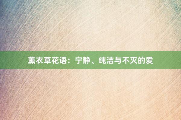薰衣草花语：宁静、纯洁与不灭的爱