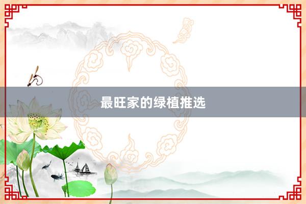 最旺家的绿植推选