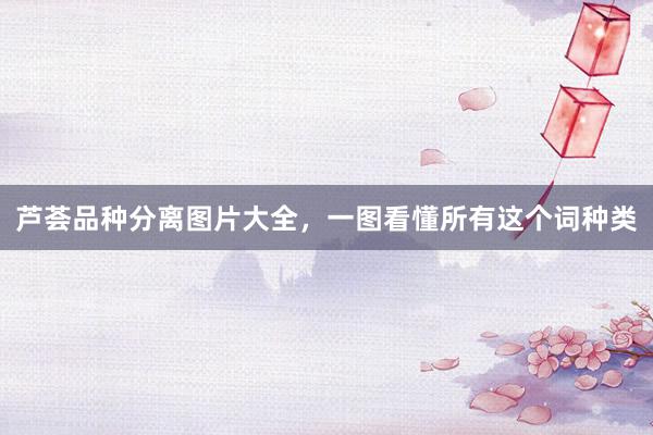 芦荟品种分离图片大全，一图看懂所有这个词种类